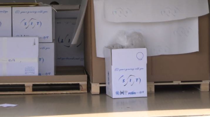 Se conoció el primer video de la mudanza Shakira