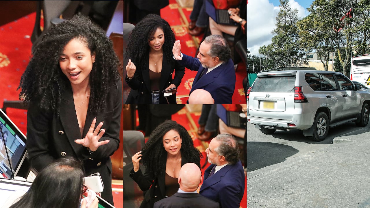 Juliana Guerrero es investigada disciplinariamente por el uso de aeronaves de la Policía, al parecer, para asuntos personales.