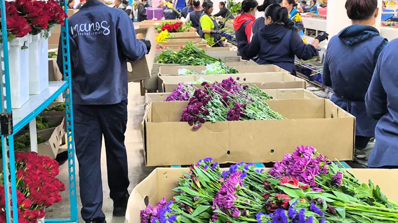 El principal destino es Estados Unidos, país que en 2023 representó el 77 % en valor.