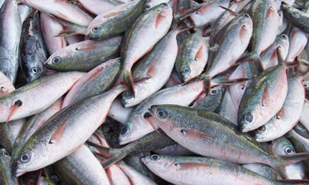 De acuerdo a lo manifestado por la biblia, “la tradición cristiana de comer pescado en Semana Santa data del siglo II y representa un gesto de penitencia y honra a la muerte de Jesús”.