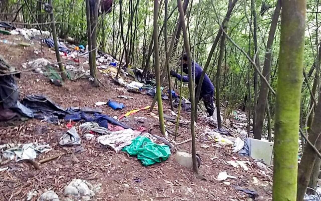 Las imágenes son desgarradoras. Animales muertos, desmembrados, colgados de árboles y pudriéndose al aire libre.