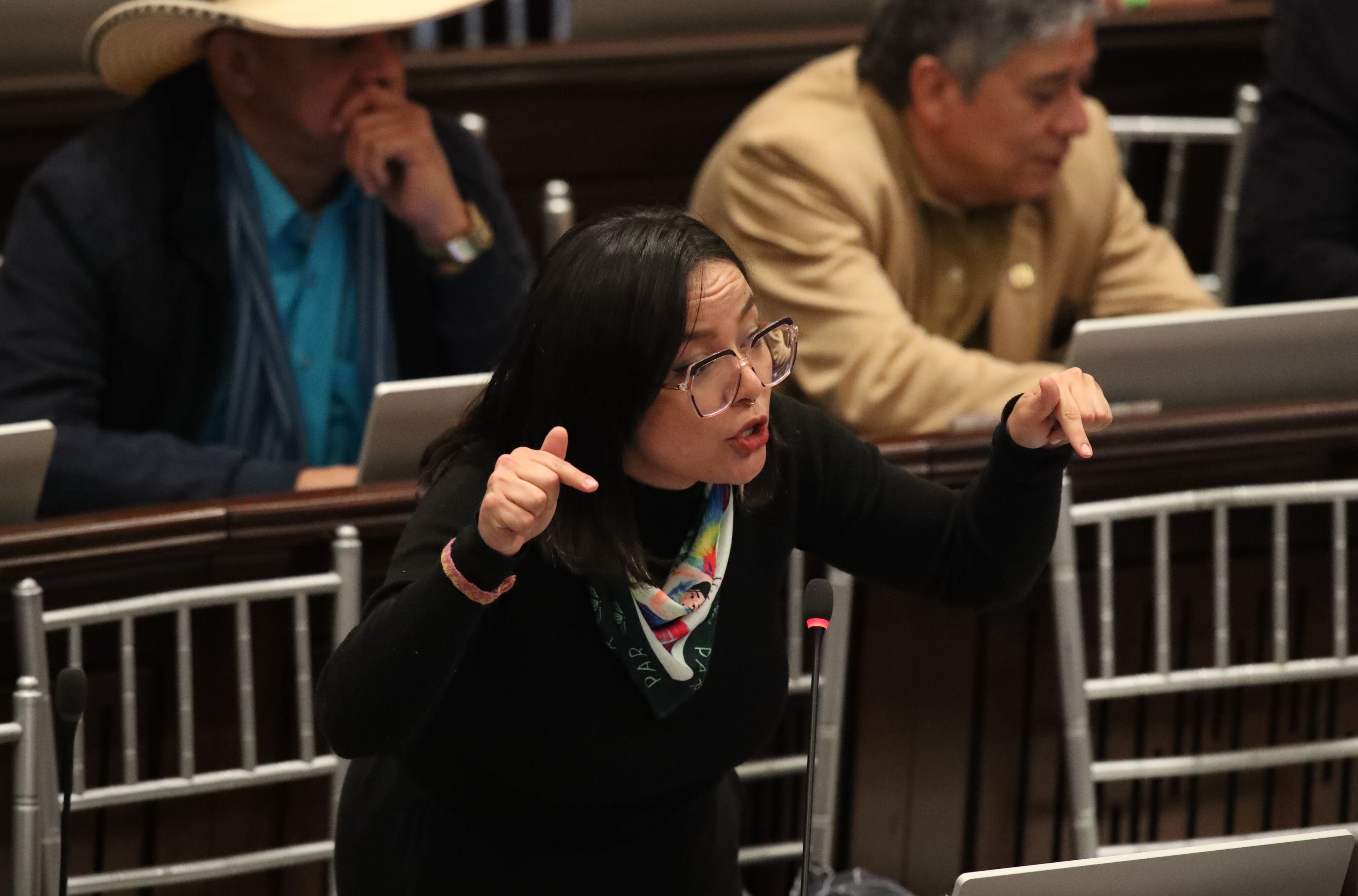 Instalación Congreso, nueva legislatura 2024