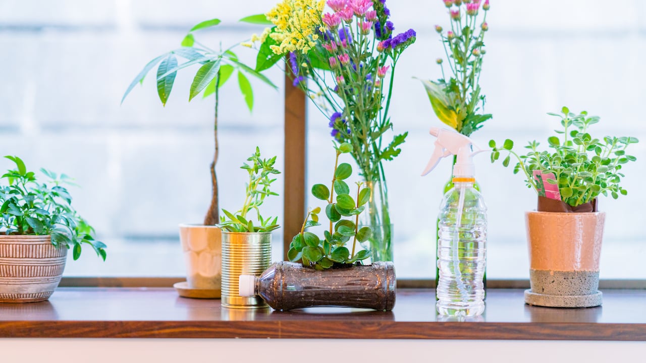 Las plantas pueden ser un complemento interesante para el Feng Shui, pero no son una solución mágica.