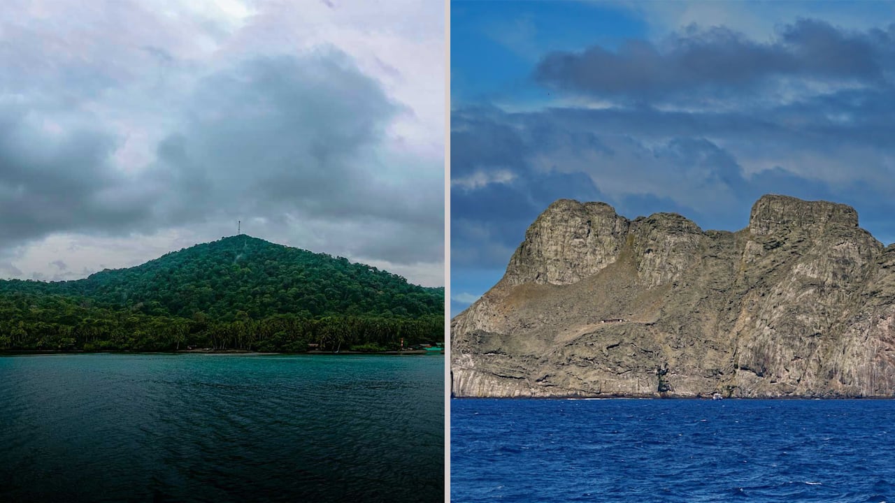 Gorgona y Malpelo, las dos islas del Pacífico que no debe dejar de conocer