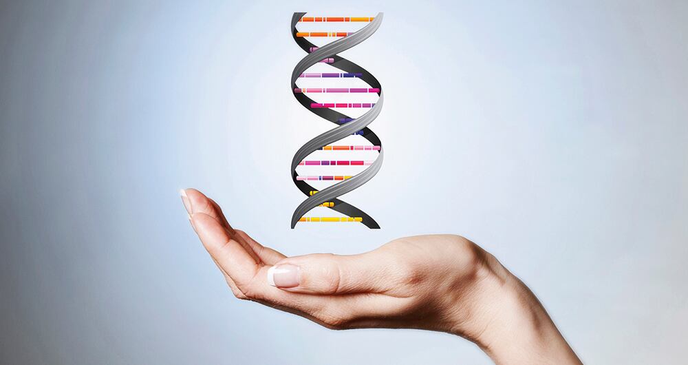 La genética ​​​ es el área de estudio de la biología que busca comprender y explicar cómo se transmite la herencia biológica de generación en generación mediante el ADN.