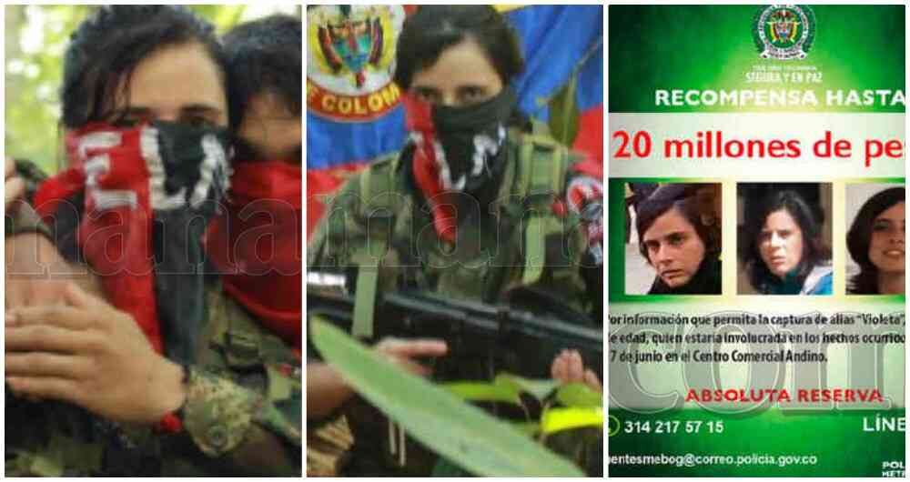 Las autoridades extendieron la búsqueda de Violeta fuera de Colombia.