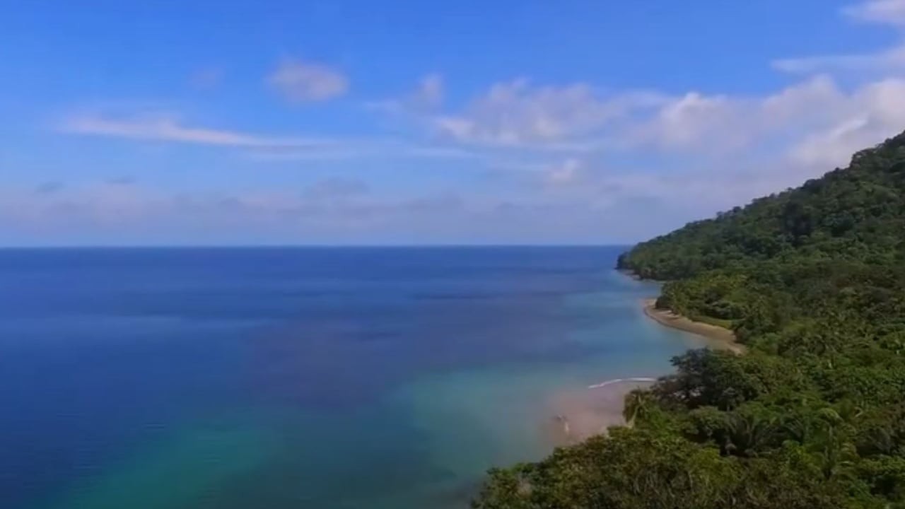 La isla de Colombia que alberga una curiosa lagartija, única en su especie de color azul