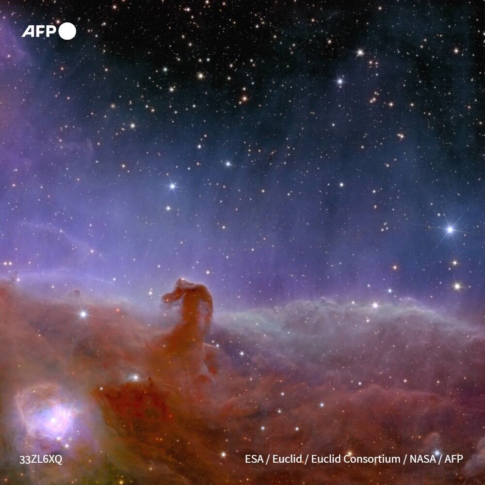 Nebulosa con forma de cabeza de caballo