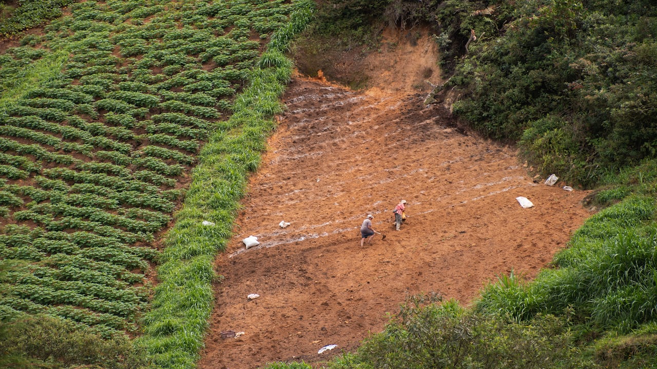 El Santuario, Antioquia