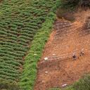 El Santuario es considerado cuna de emprendedores y es un territorio con una gran oferta turística.