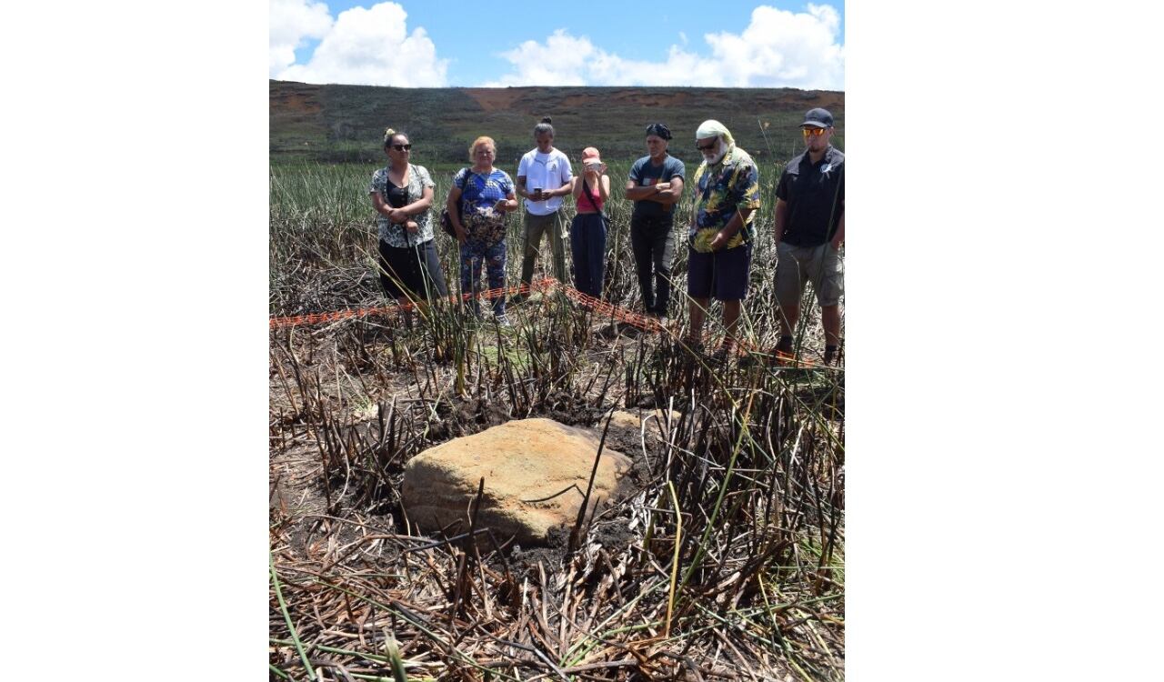 "Lo interesante es que, por lo menos en los últimos 200 o 300 años la laguna tenía tres metros de profundidad, de tal forma que ningún ser humano podría haber dejado en este tiempo este moái ahí", dijo la directora de la comunidad indígena Ma'u Henua
