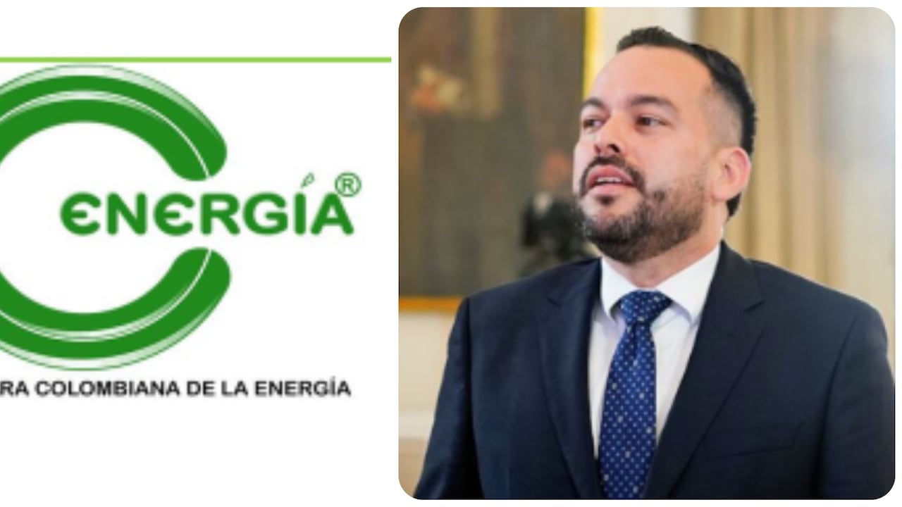 Edwin Palma, ministro de Minas.