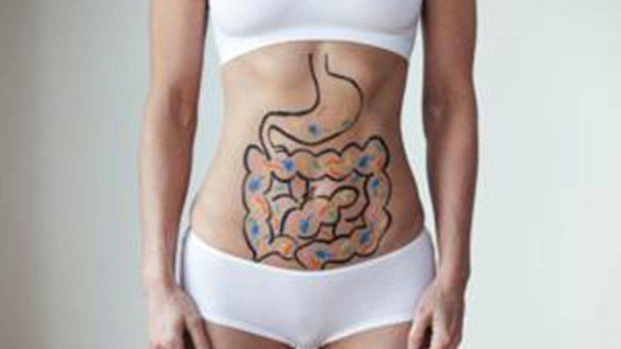 "Nuestro intestino tiene su propia autonomía para tomar decisiones", explica la doctora Rossi.