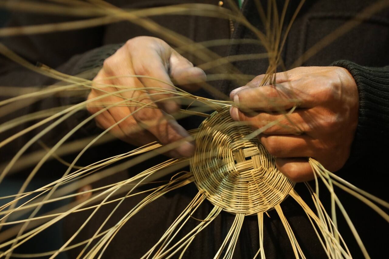 Programa Nacional de Concertación Cultural 2023