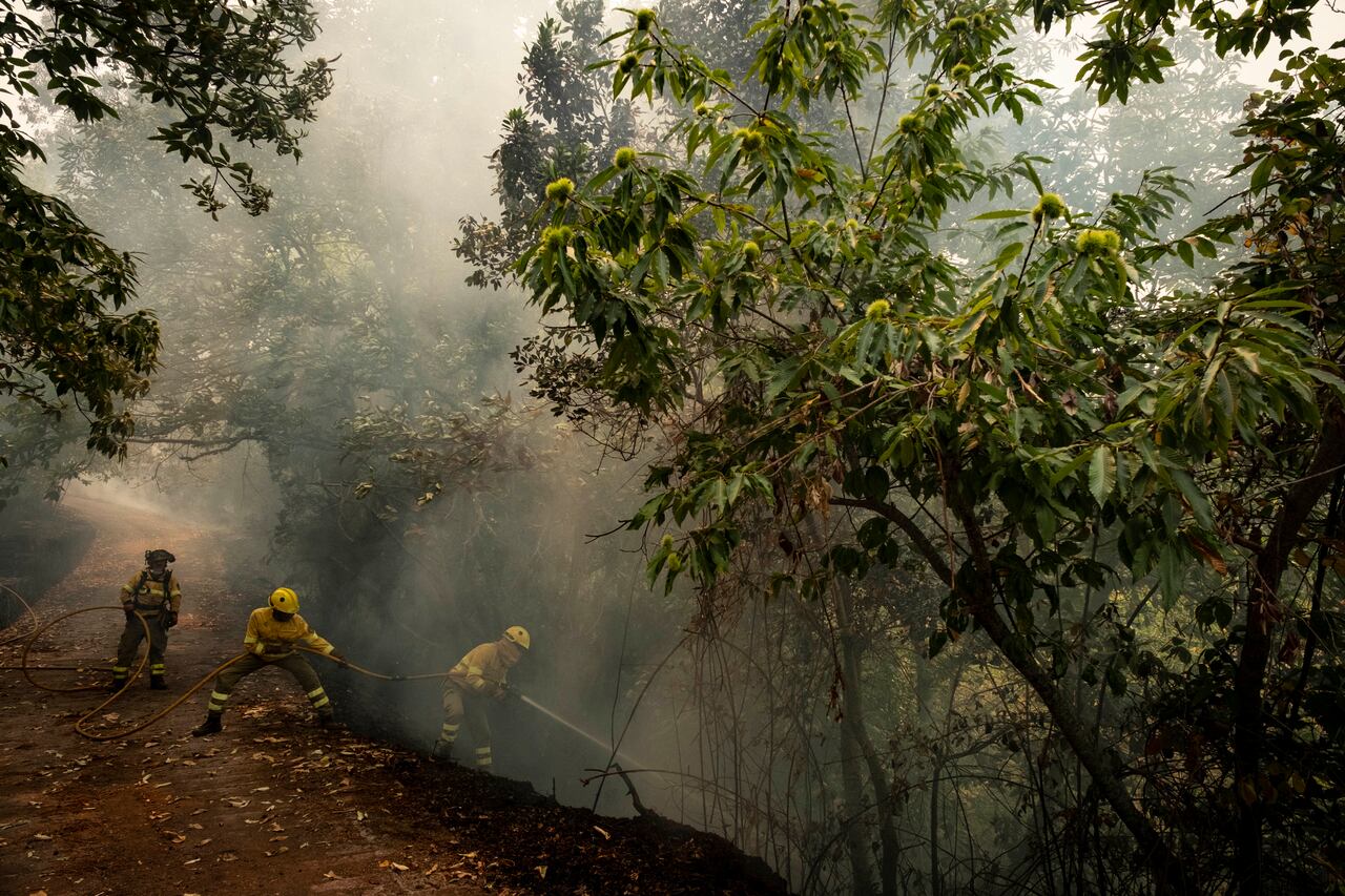 Los equipos de emergencia y los bomberos trabajan para extinguir el fuego que avanza a través del bosque en La Orotava en Tenerife, Islas Canarias, España el sábado 19 de agosto de 2023.