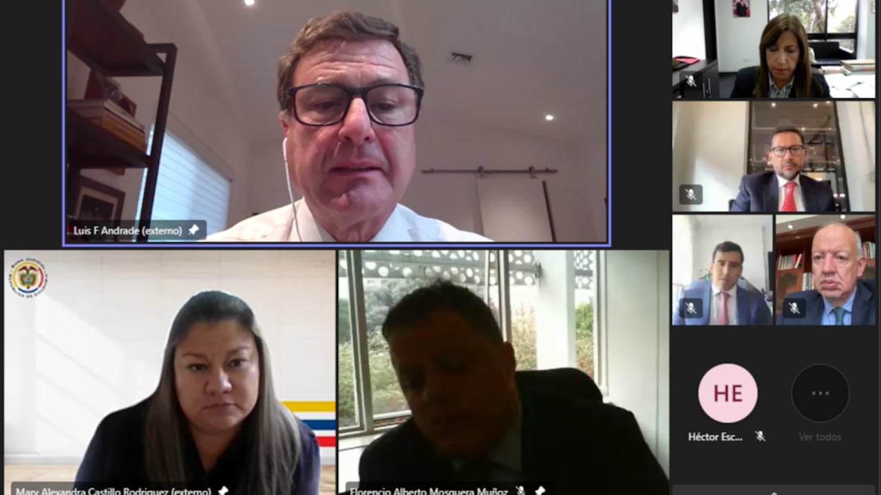 La Fiscalía imputó nuevamente a Luis Fernando Andrade, expresidente de la ANI. Además, señaló a otros ocho exfuncionarios de la entidad, por irregularidades en la contratación de la Ruta del Sol III. (Colprensa - Captura de pantalla de la audiencia)