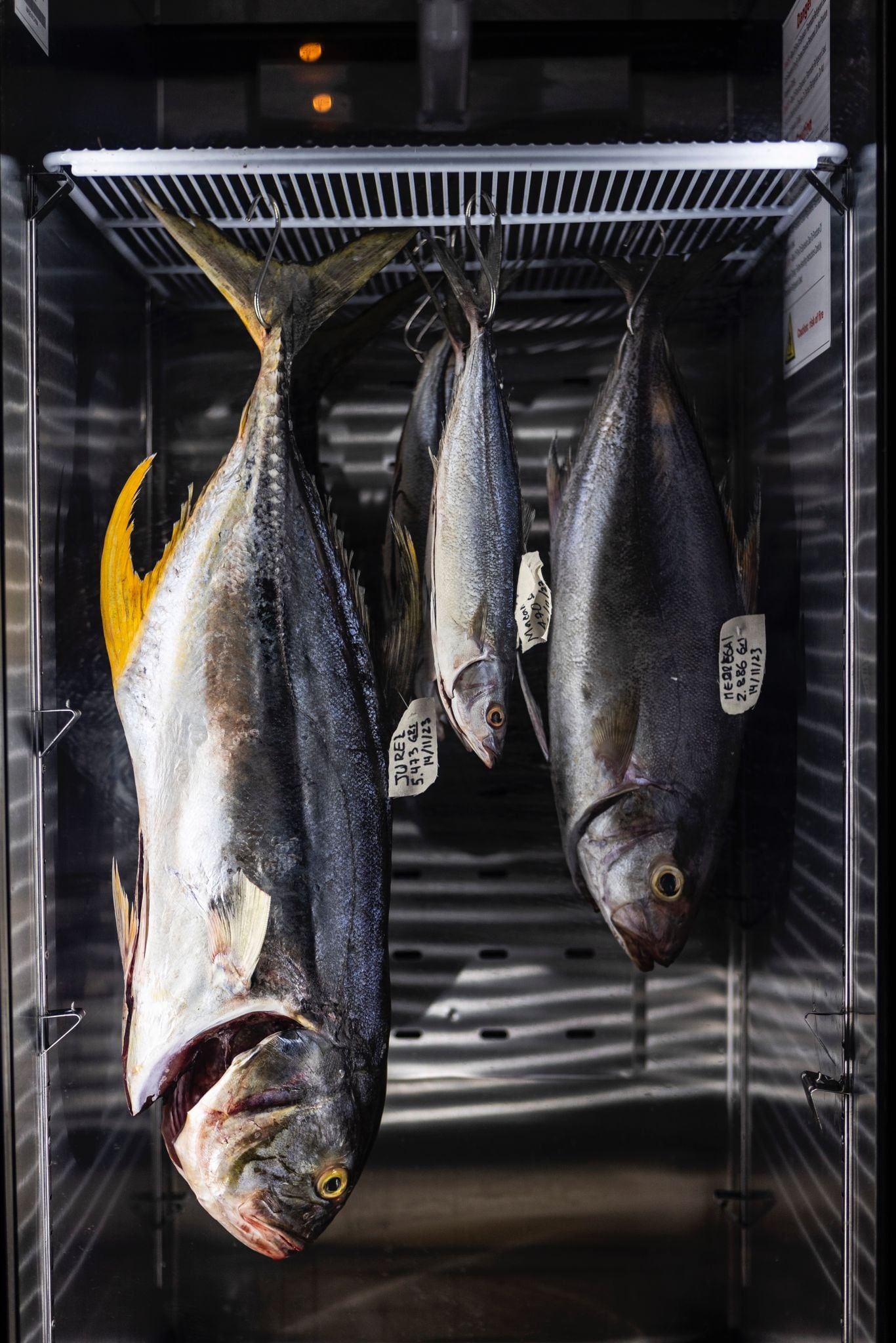 Su filosofía culinaria celebra el producto fresco y de mercado. Trabaja de la mano con pescadores artesanales de La Boquilla e Islas del Rosario, y apoya a productores de los Montes de María.