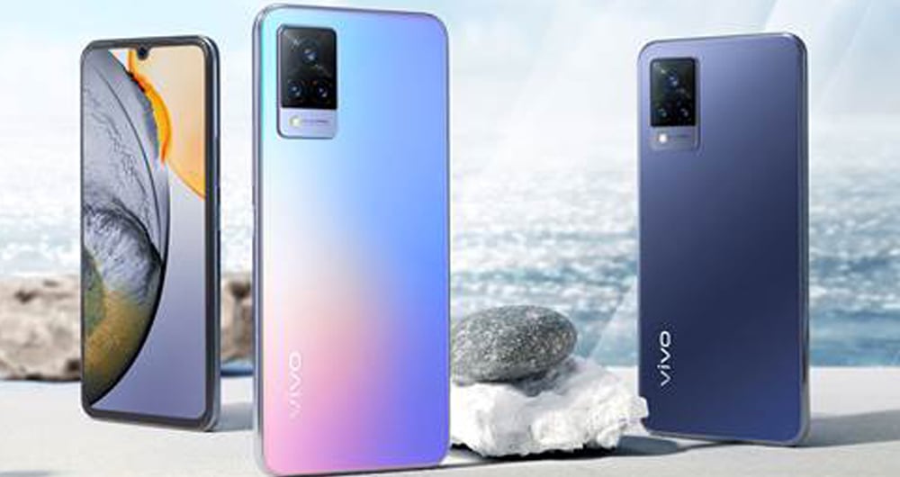 Vivo (Foto cortesía)