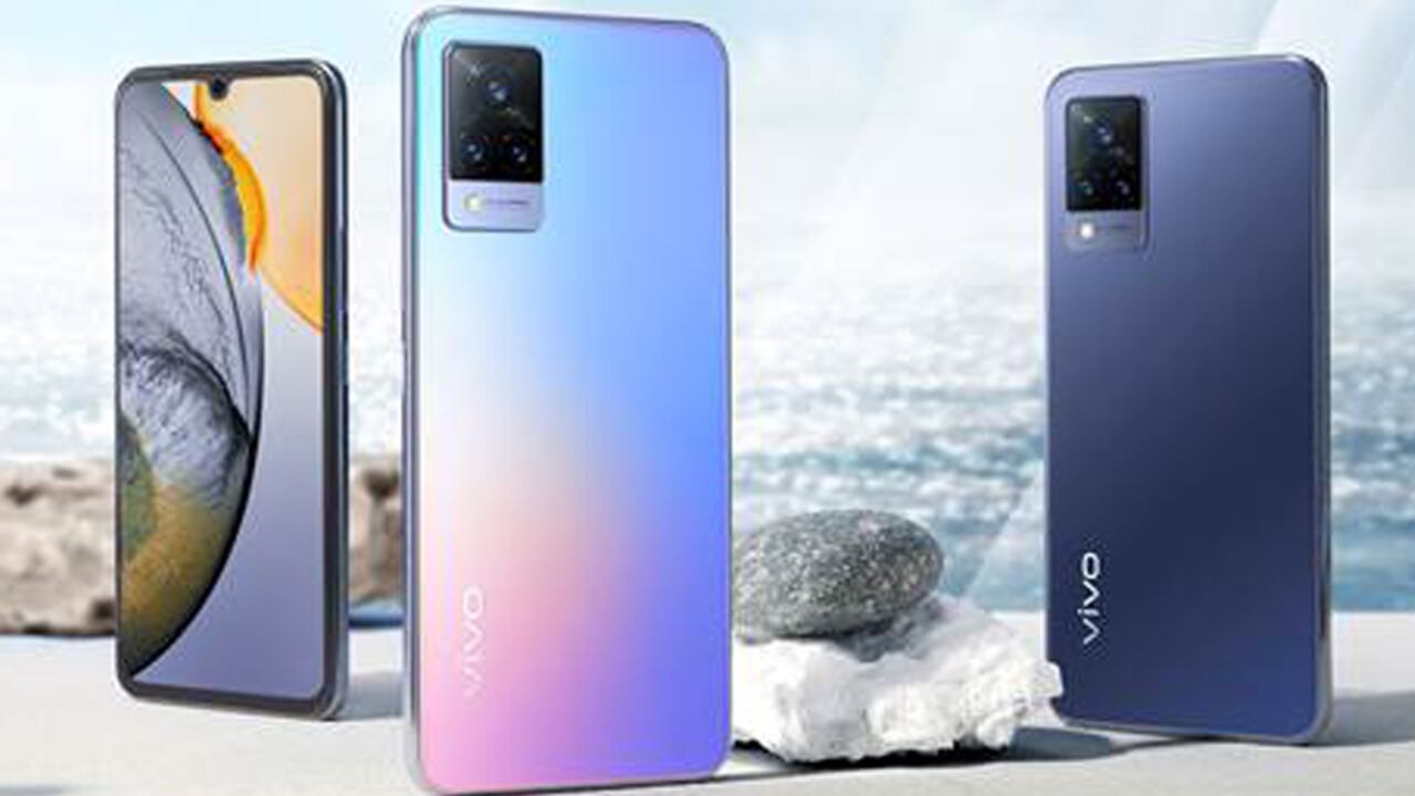 Vivo (Foto cortesía)