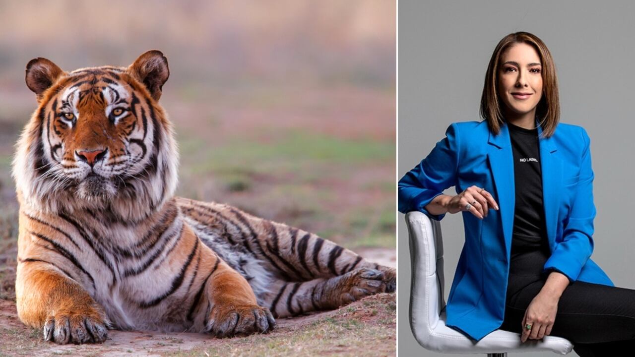 Juanita Gómez también pide respuestas sobre el sacrificio del felino.