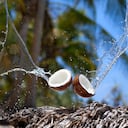 El jabón de coco ayuda a manejar el acné de la piel del rostro.