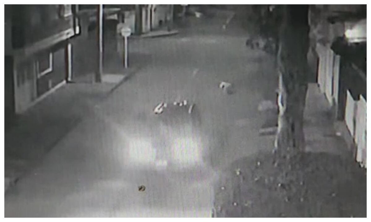 En cámaras de video quedó registrado el momento en el que el perro es atropellado por uno de los vecinos en el Barrio Mandalay