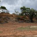 Hacienda Mandingas, ubicada en Cáceres, Antioquia, y utilizada para la minería ilegal.