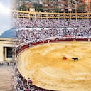 Antes del 20 de junio el texto deberá ser conciliado por las plenarias de Senado y Cámara para que el presidente Gustavo Petro pueda sancionar la ley. En 2027 sería considerado delito hacer una corrida.