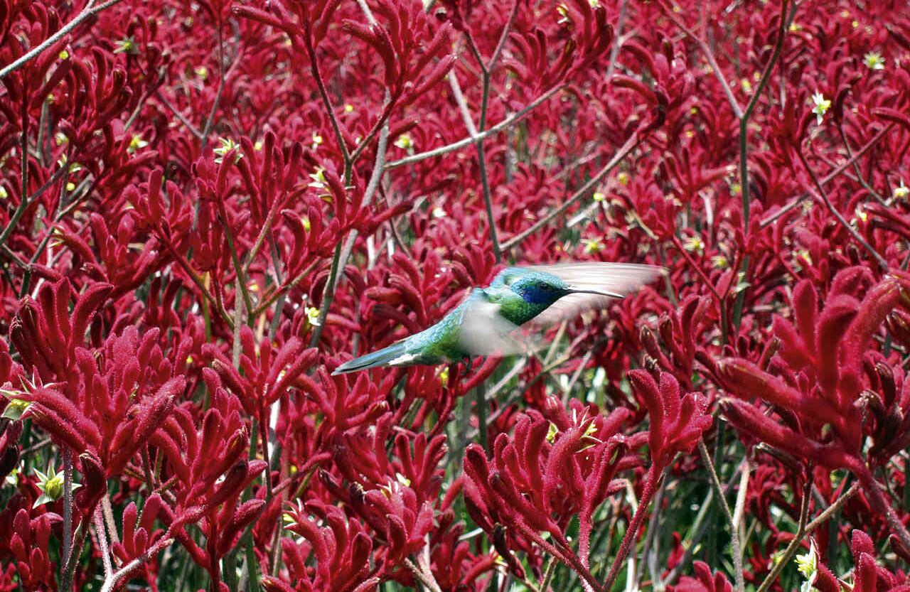 Foto: Jacqueline Valenzuela Rian~o