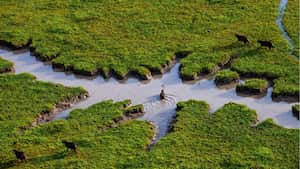 NO USAR, USO EXCLUSIVO MEJOR COLOMBIA, Especial Mejor Colombia, Regiones Inversión turismo