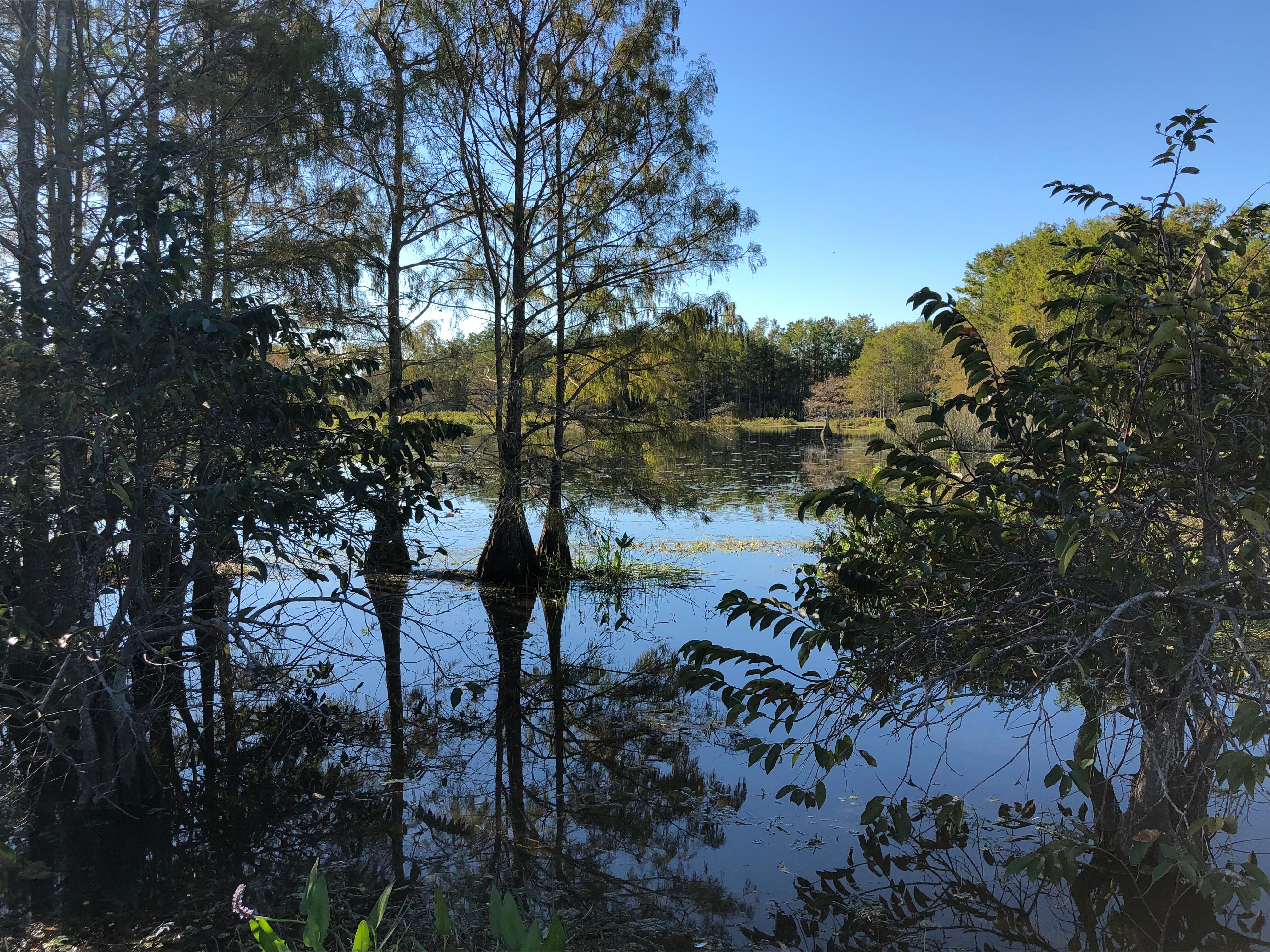 Los jóvenes se encontraban disfrutando de un día de campo junto con sus amigos cuando ocurrió la tragedia