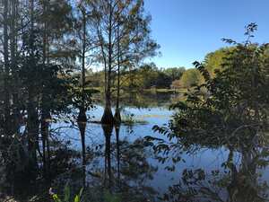 Los jóvenes se encontraban disfrutando de un día de campo junto con sus amigos cuando ocurrió la tragedia