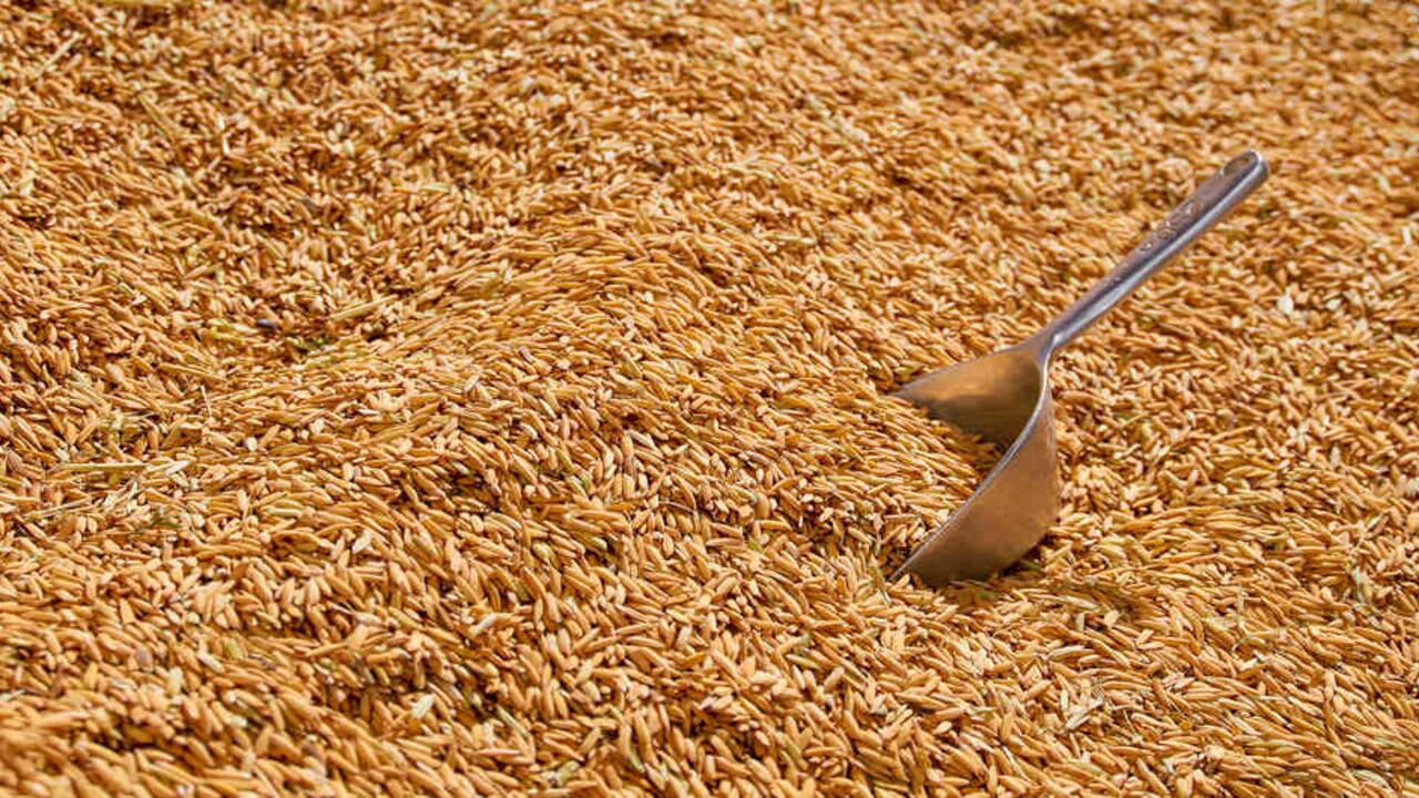 Las donaciones se entregarán cada lunes, miércoles y viernes, iniciando el próximo 30 de marzo/Imagen archivo SEMANA