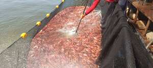 Segunda Feria Acuícola Internacional de Colombia.