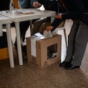 Le contamos los pasos que debe seguir para conocer si fue designado como jurado de votación.