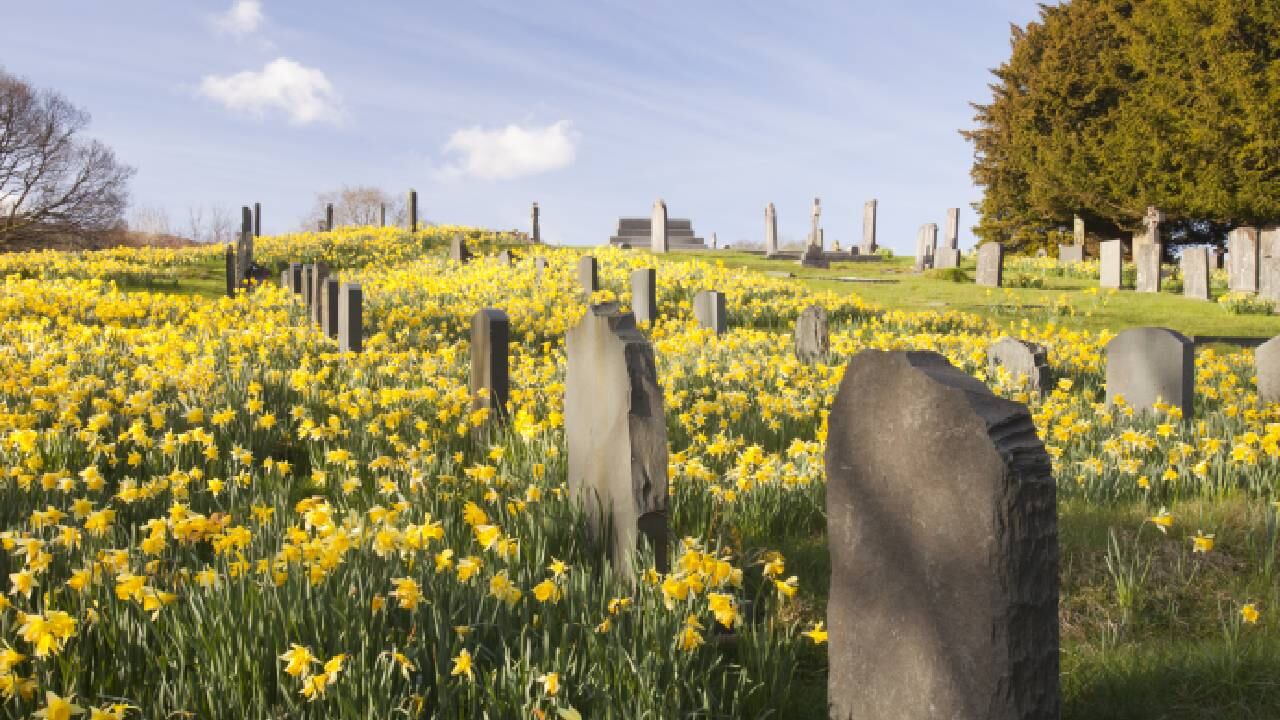 Una prueba de ADN confirmó que el cuerpo desenterrado era de la mamá del hombre polaco (imagen de referencia).