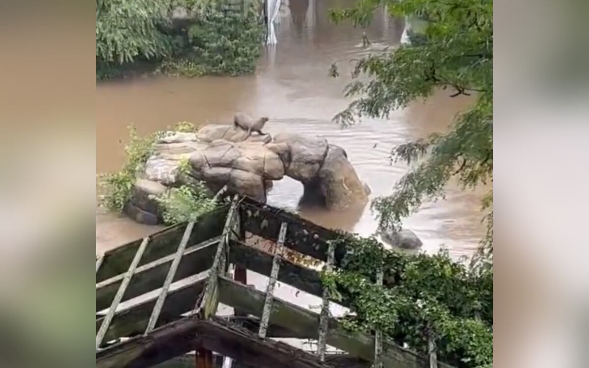 Fotograma:0.10 X:@rawsalerts