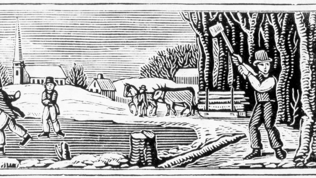 Todo apunta a que enero será frío.