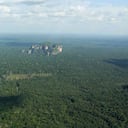 Reducir las emisiones de Gases de Efecto Invernadero en un 20 por ciento en 2030 no evitaría que la deforestación en Colombia siga incrementándose.