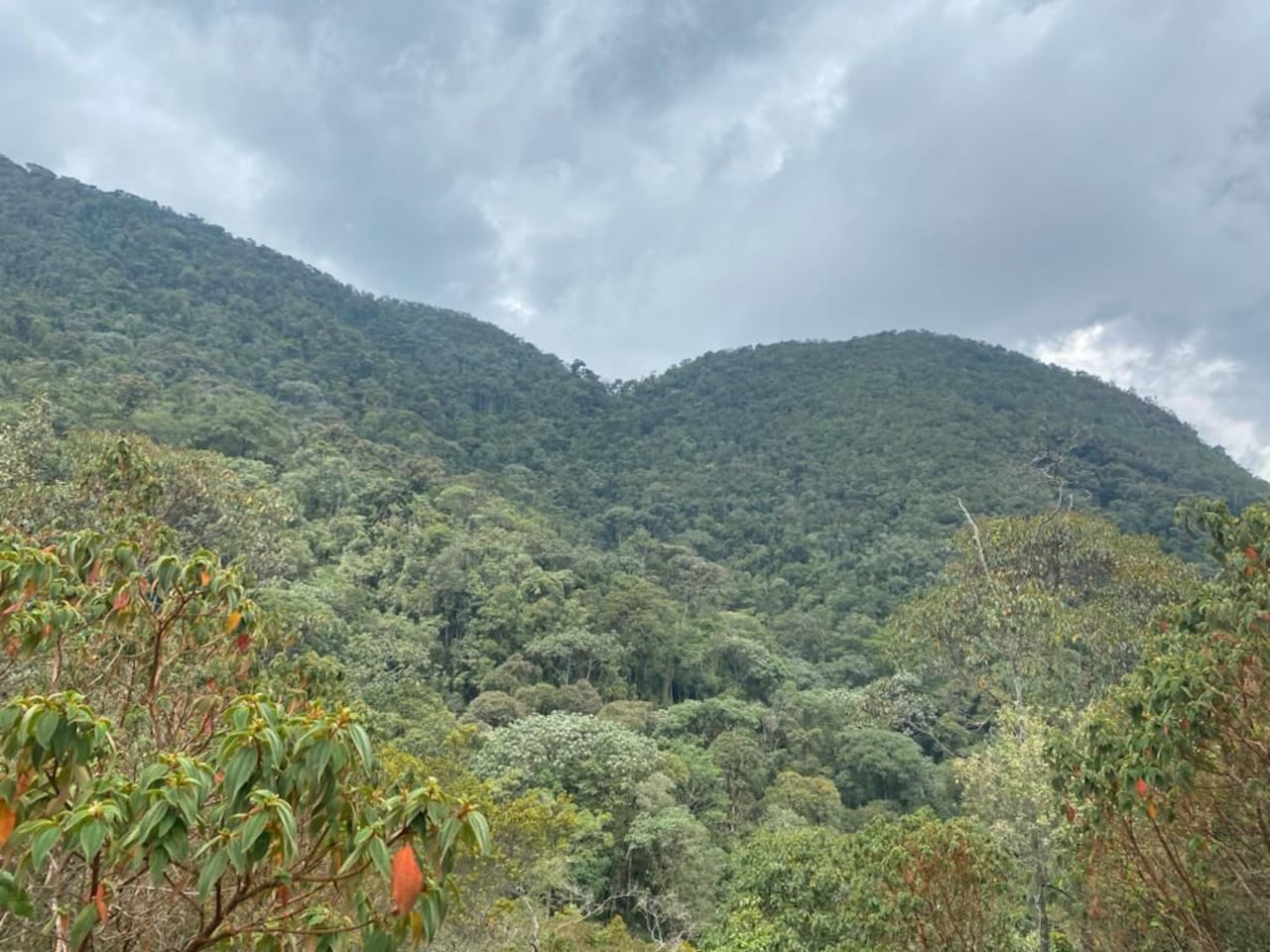 El proyecto estaba localizado en las veredas La Laja y El Peñón, en el municipio de San Francisco de Sales en Cundinamarca