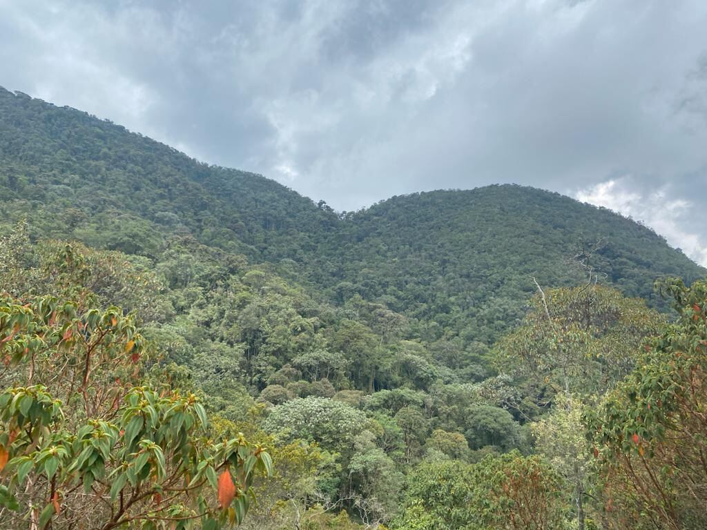 El proyecto estaba localizado en las veredas La Laja y El Peñón, en el municipio de San Francisco de Sales en Cundinamarca