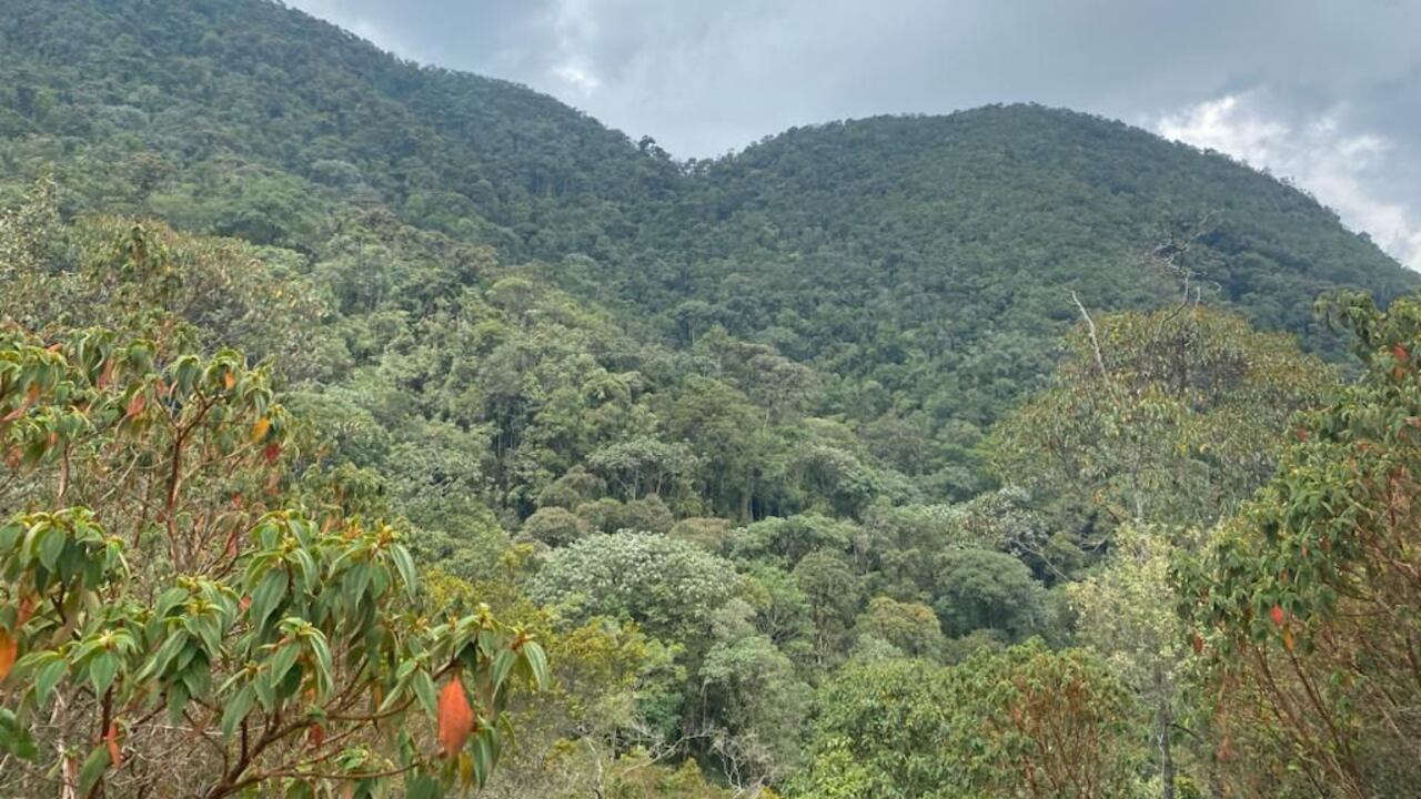 IRAAMK46NVB7ZKJORJVBNL7QEE