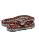 Eastern Garter Snake isolated on white background