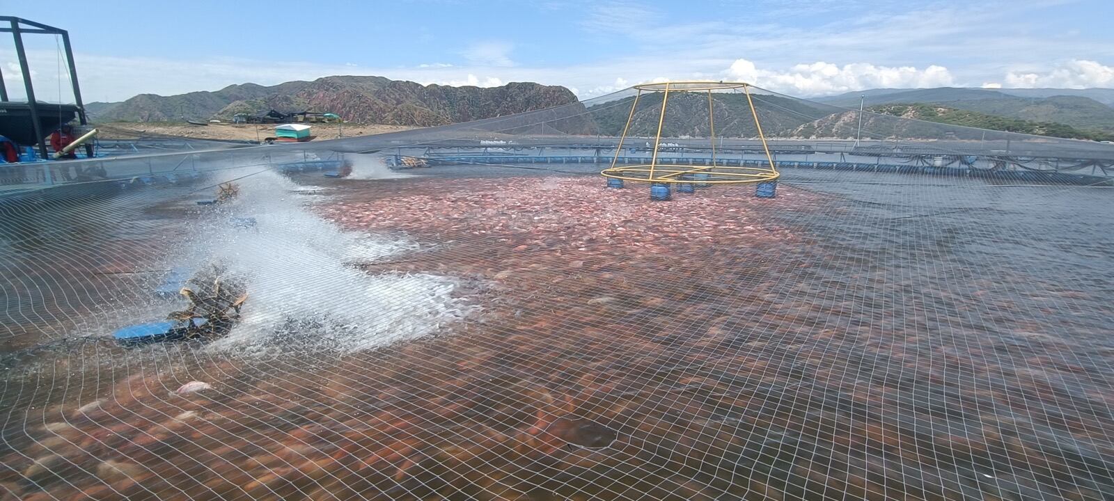 El evento se desarrollará entre el 4 y 6 de mayo.