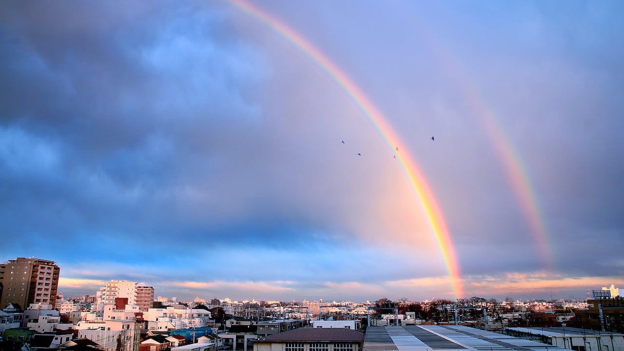 Sus principales colores son el rojo, naranja, amarillo, verde, azul, añil y violeta.