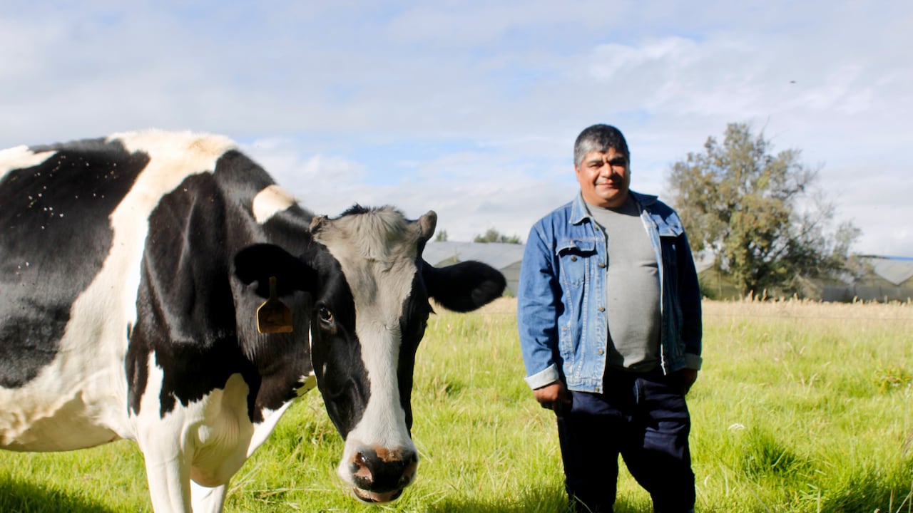 Wilson Avella, productor de leche en el municipio de El Rosal, Cundinamarca.