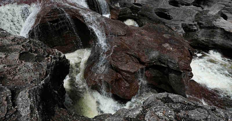 El 95% de turismo en La Macarena es regulado, el Ministerio y la Policía de Turismo trabajan sobre lo que falta. Caño Cristales tiene 5 recorridos peatonales, el máximo es de 12 kilómetros y hay una parte que se puede hacer sobre el río, en canoa. Foto: Guillermo Torres / SEMANA