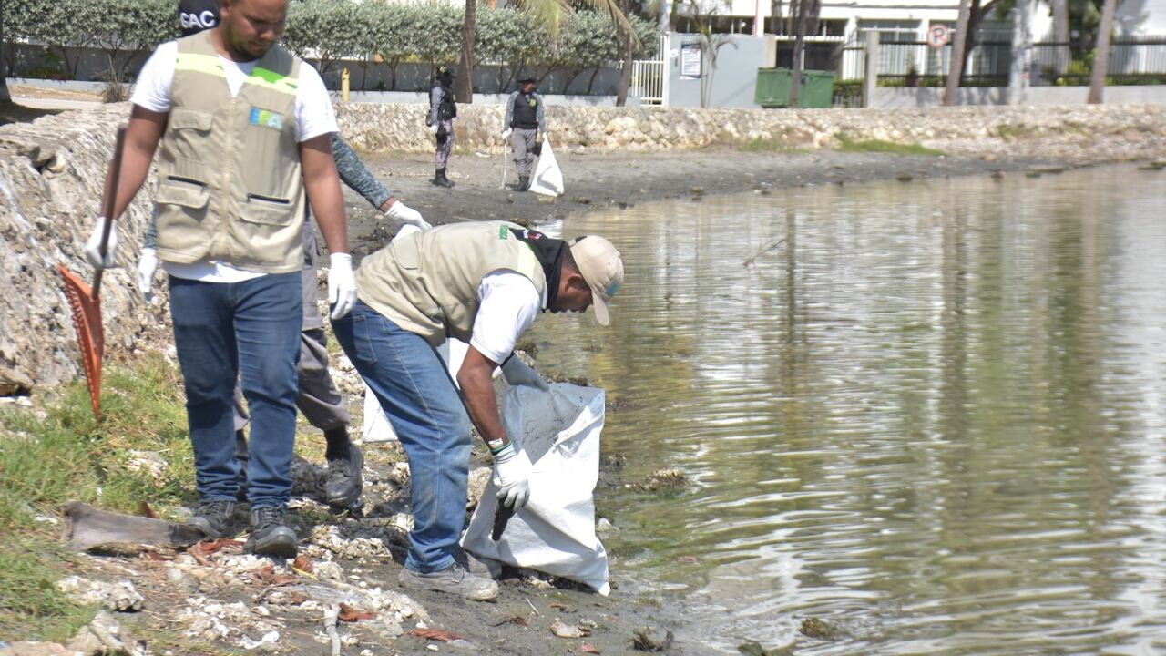 Recolección de peces muertos en El Laguito, Cartagena.