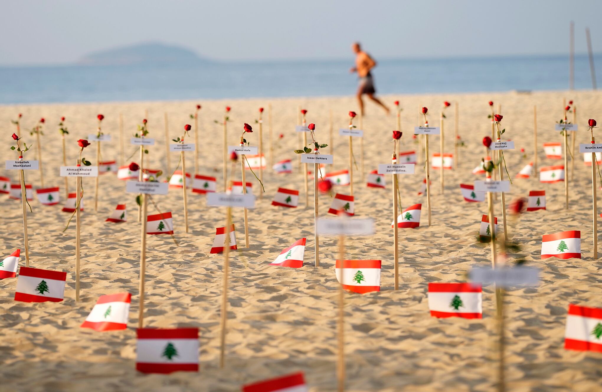 Fotos de la semana 4 agosto