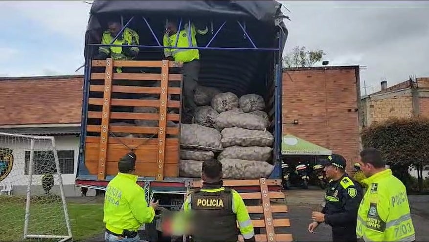 En el procedimiento fueron hallados más de una tonelada de clorhidrato de cocaína mediante la modalidad de ocultamiento, en 892 paquetes envueltos en plástico vinipel, los cuales contenían la sustancia.